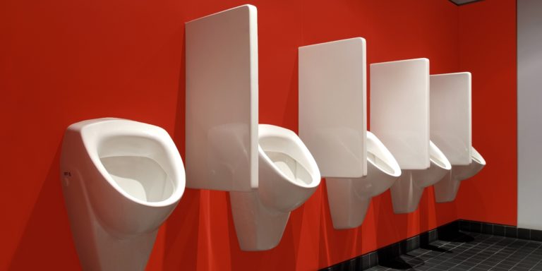 Sichtschutz Schamwand, individuelle Lösungen aus Keramik (Chemnitzer Trennwände, WC-Trennwand Hersteller, WC-Trennwände, Trennwandsysteme, Toilettentrennwände, Sanitärtrennwände)